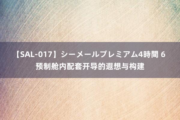 【SAL-017】シーメールプレミアム4時間 6 预制舱内配套开导的遐想与构建