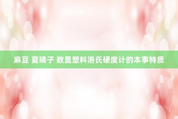 麻豆 夏晴子 数显塑料洛氏硬度计的本事特质