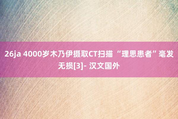 26ja 4000岁木乃伊摄取CT扫描 “理思患者”毫发无损[3]- 汉文国外