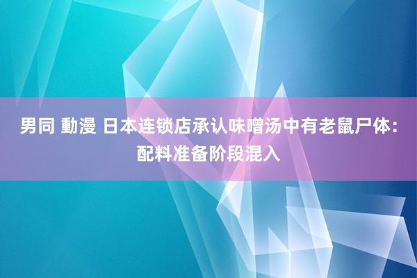 男同 動漫 日本连锁店承认味噌汤中有老鼠尸体：配料准备阶段混入