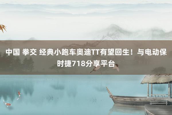 中国 拳交 经典小跑车奥迪TT有望回生！与电动保时捷718分享平台