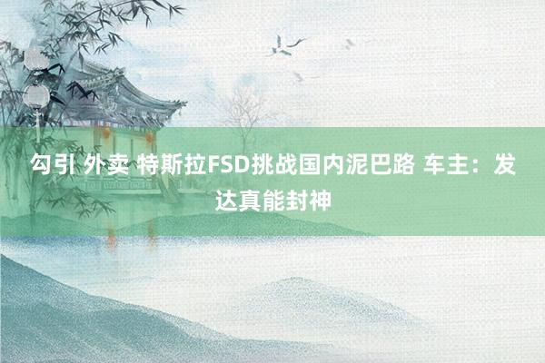 勾引 外卖 特斯拉FSD挑战国内泥巴路 车主：发达真能封神