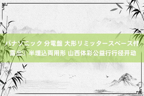 パナソニック 分電盤 大形リミッタースペース付 露出・半埋込両用形 山西体彩公益行行径开动