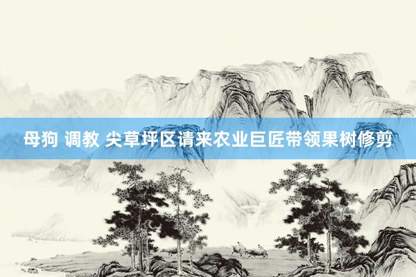 母狗 调教 尖草坪区请来农业巨匠带领果树修剪