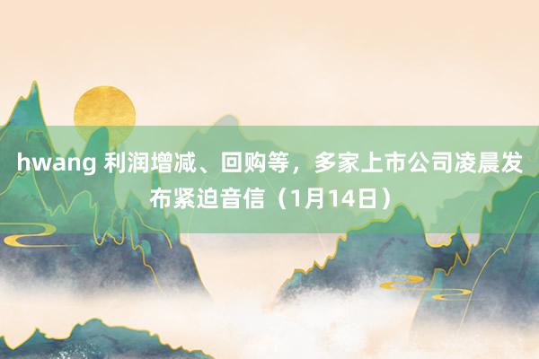 hwang 利润增减、回购等，多家上市公司凌晨发布紧迫音信（1月14日）