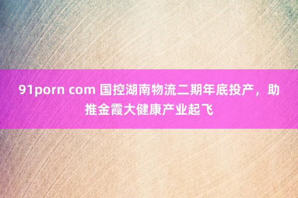 91porn com 国控湖南物流二期年底投产，助推金霞大健康产业起飞