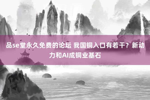 品se堂永久免费的论坛 我国铜入口有若干？新动力和AI成铜业基石
