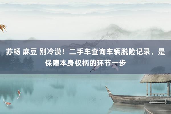 苏畅 麻豆 别冷漠！二手车查询车辆脱险记录，是保障本身权柄的环节一步