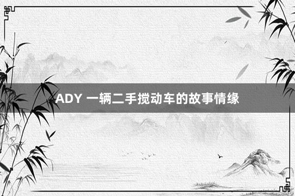 ADY 一辆二手搅动车的故事情缘