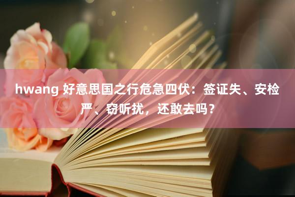 hwang 好意思国之行危急四伏：签证失、安检严、窃听扰，还敢去吗？