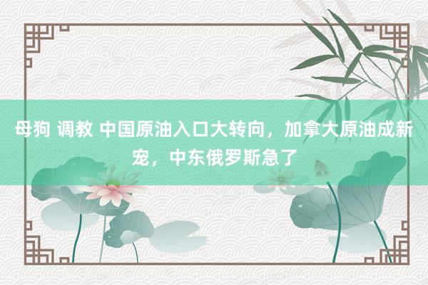 母狗 调教 中国原油入口大转向，加拿大原油成新宠，中东俄罗斯急了