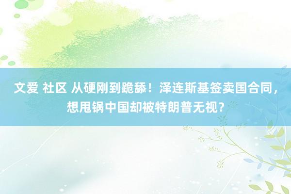 文爱 社区 从硬刚到跪舔！泽连斯基签卖国合同，想甩锅中国却被特朗普无视？