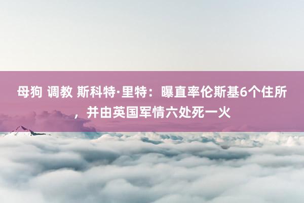 母狗 调教 斯科特·里特：曝直率伦斯基6个住所，并由英国军情六处死一火