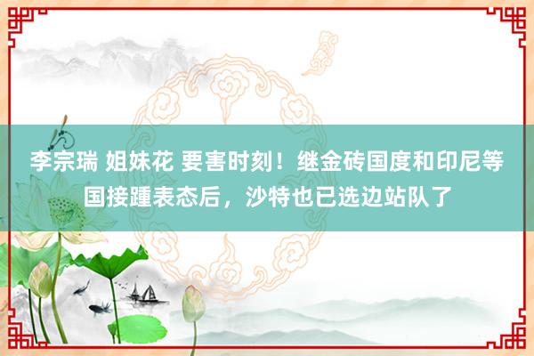 李宗瑞 姐妹花 要害时刻！继金砖国度和印尼等国接踵表态后，沙特也已选边站队了