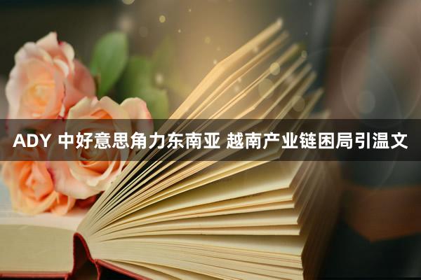 ADY 中好意思角力东南亚 越南产业链困局引温文