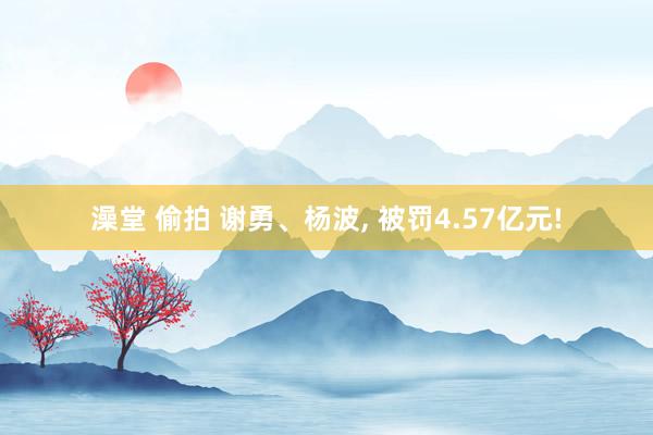 澡堂 偷拍 谢勇、杨波, 被罚4.57亿元!