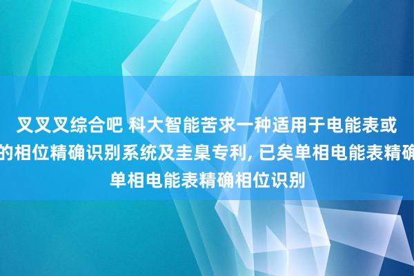 叉叉叉综合吧 科大智能苦求一种适用于电能表或用采终局的相位精确识别系统及圭臬专利, 已矣单相电能表精确相位识别