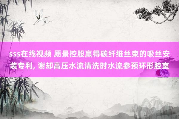 sss在线视频 愿景控股赢得碳纤维丝束的吸丝安装专利, 谢却高压水流清洗时水流参预环形腔室
