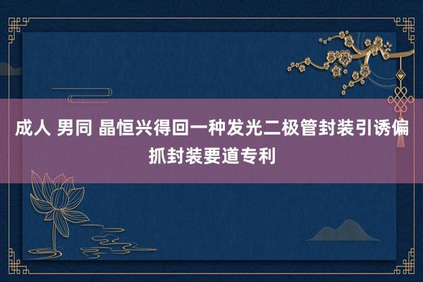 成人 男同 晶恒兴得回一种发光二极管封装引诱偏抓封装要道专利