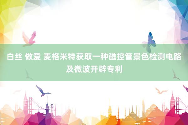 白丝 做爱 麦格米特获取一种磁控管景色检测电路及微波开辟专利