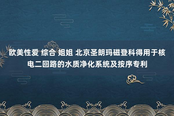欧美性爱 综合 姐姐 北京圣朗玛磁登科得用于核电二回路的水质净化系统及按序专利