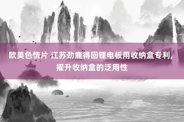 欧美色情片 江苏劲鹿得回锂电板用收纳盒专利, 擢升收纳盒的泛用性
