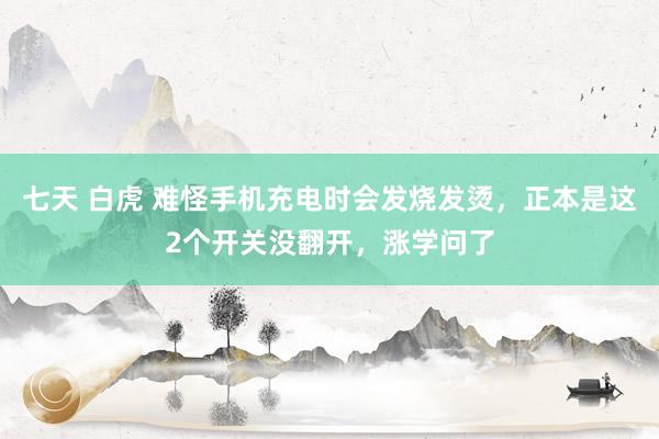 七天 白虎 难怪手机充电时会发烧发烫，正本是这2个开关没翻开，涨学问了
