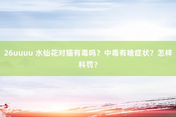 26uuuu 水仙花对猫有毒吗？中毒有啥症状？怎样科罚？