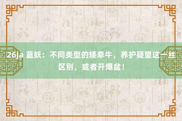 26ja 蓝妖：不同类型的矮牵牛，养护疑望这一丝区别，或者开爆盆！