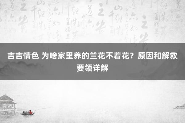 吉吉情色 为啥家里养的兰花不着花？原因和解救要领详解