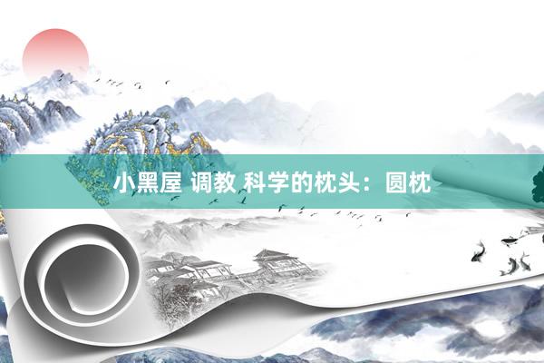 小黑屋 调教 科学的枕头：圆枕