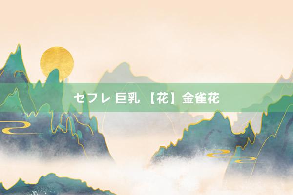 セフレ 巨乳 【花】金雀花