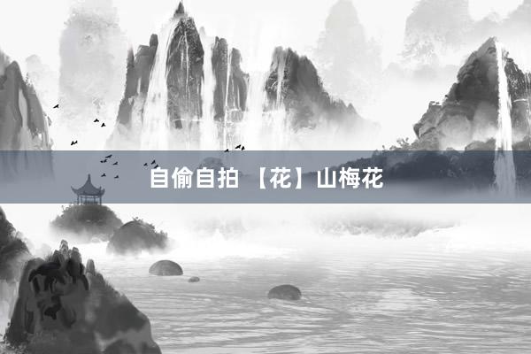 自偷自拍 【花】山梅花