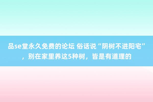 品se堂永久免费的论坛 俗话说“阴树不进阳宅”，别在家里养这5种树，皆是有道理的