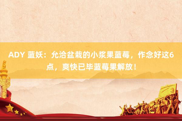 ADY 蓝妖：允洽盆栽的小浆果蓝莓，作念好这6点，爽快已毕蓝莓果解放！