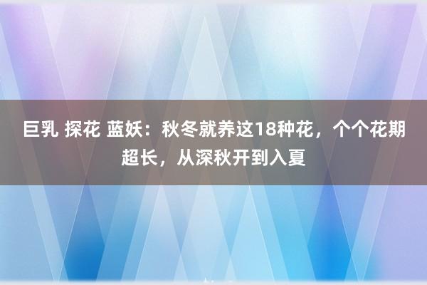巨乳 探花 蓝妖：秋冬就养这18种花，个个花期超长，从深秋开到入夏