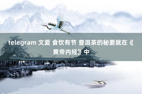 telegram 文爱 食饮有节 普洱茶的秘要就在《黄帝内经》中
