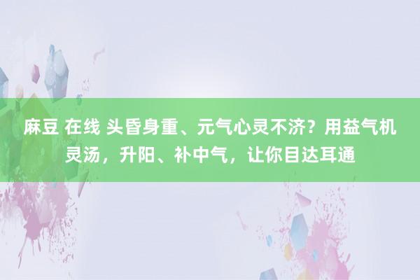 麻豆 在线 头昏身重、元气心灵不济？用益气机灵汤，升阳、补中气，让你目达耳通