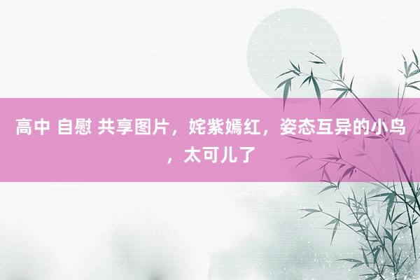 高中 自慰 共享图片，姹紫嫣红，姿态互异的小鸟，太可儿了